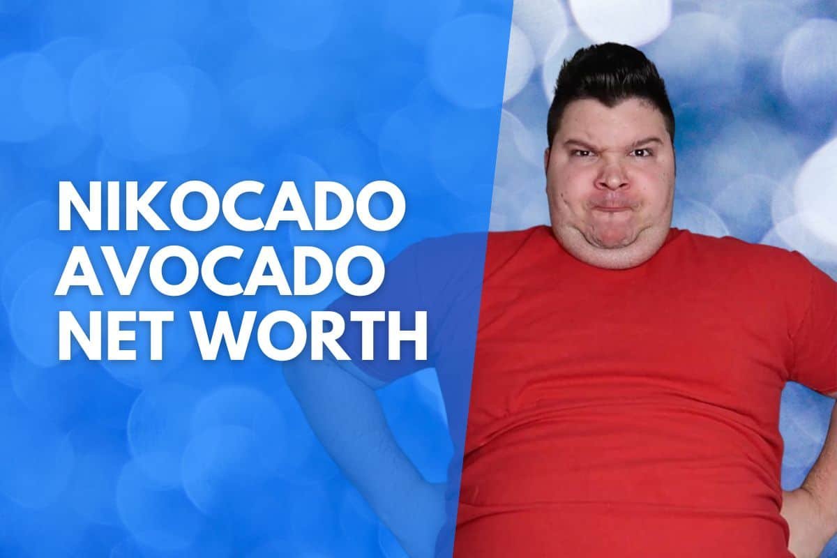 Nikocado Avocado Net worth