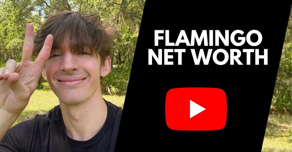 Flamingo net worth